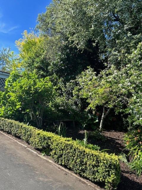Luxury Villa On Napier Hill エクステリア 写真