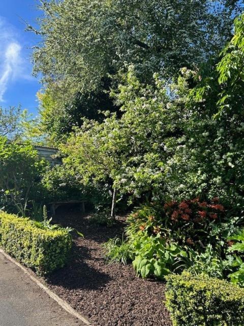 Luxury Villa On Napier Hill エクステリア 写真